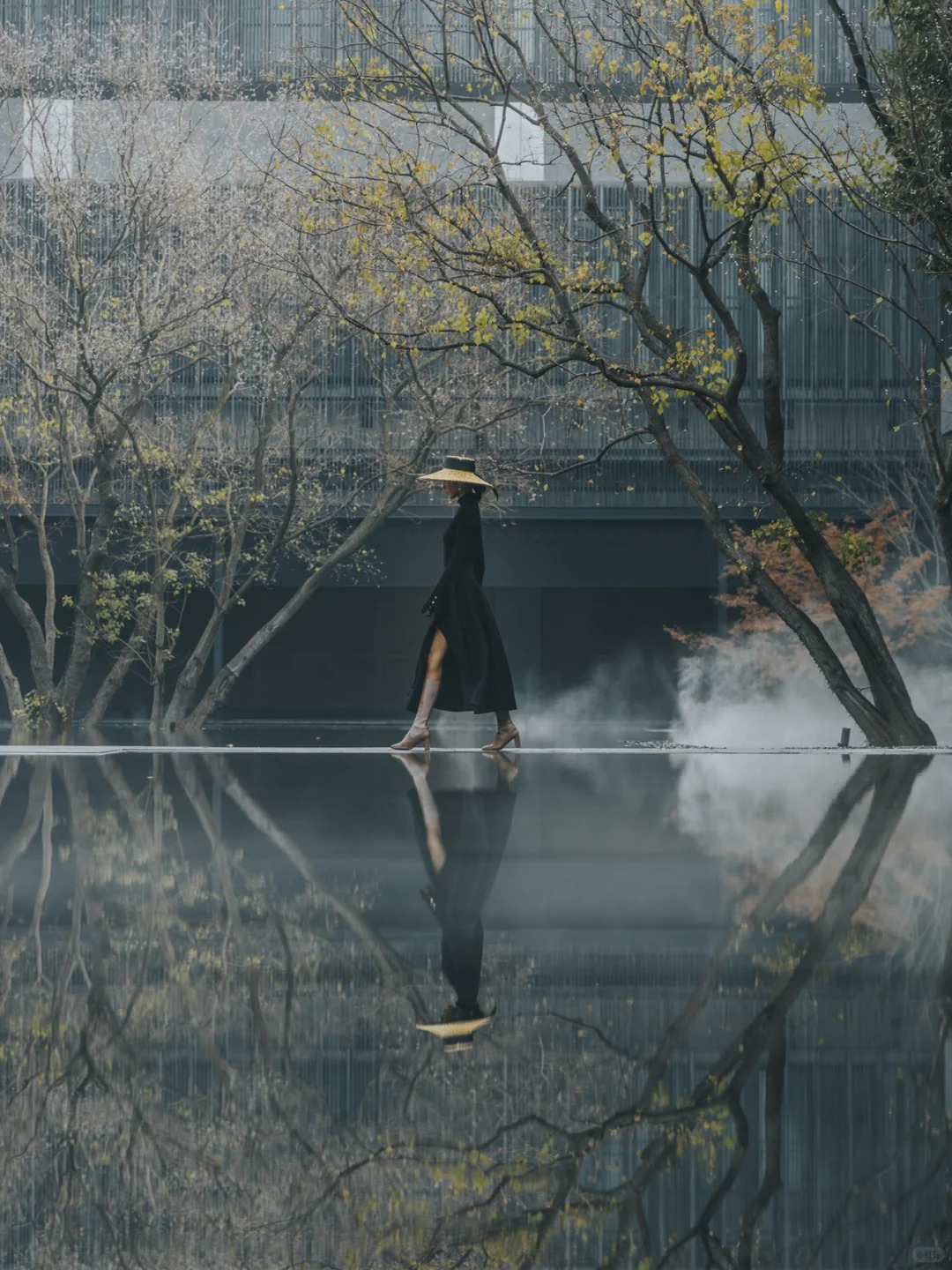 西塘良壤_是艺术，也是诗与远方